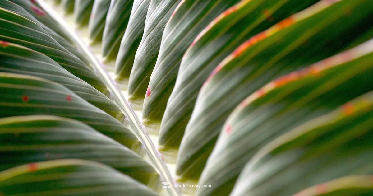 Small Palm Sander - SanderSavvy