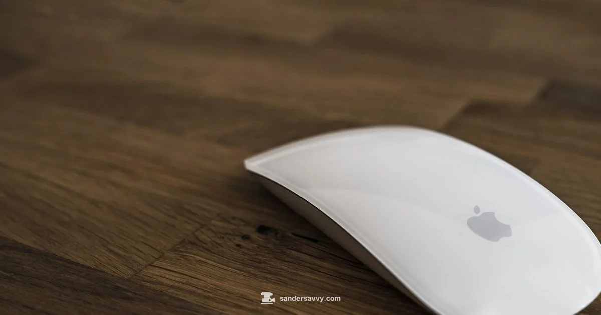 Mouse Sander Size - SanderSavvy