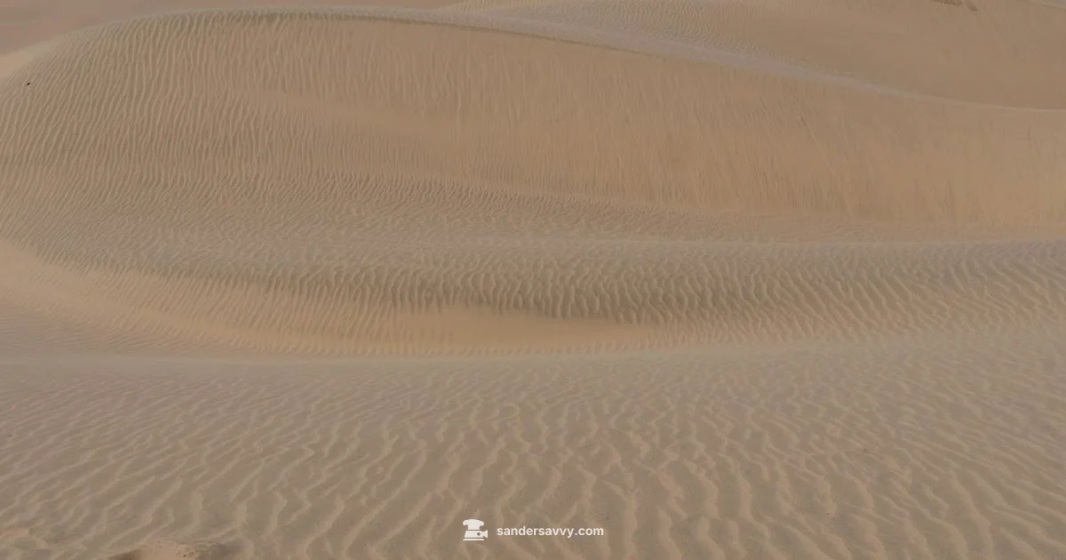 Mounting a Sanding Disc - SanderSavvy