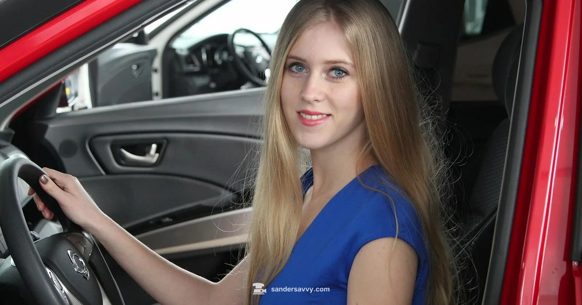 Sandero US Context Sandero US Context - SanderSavvy