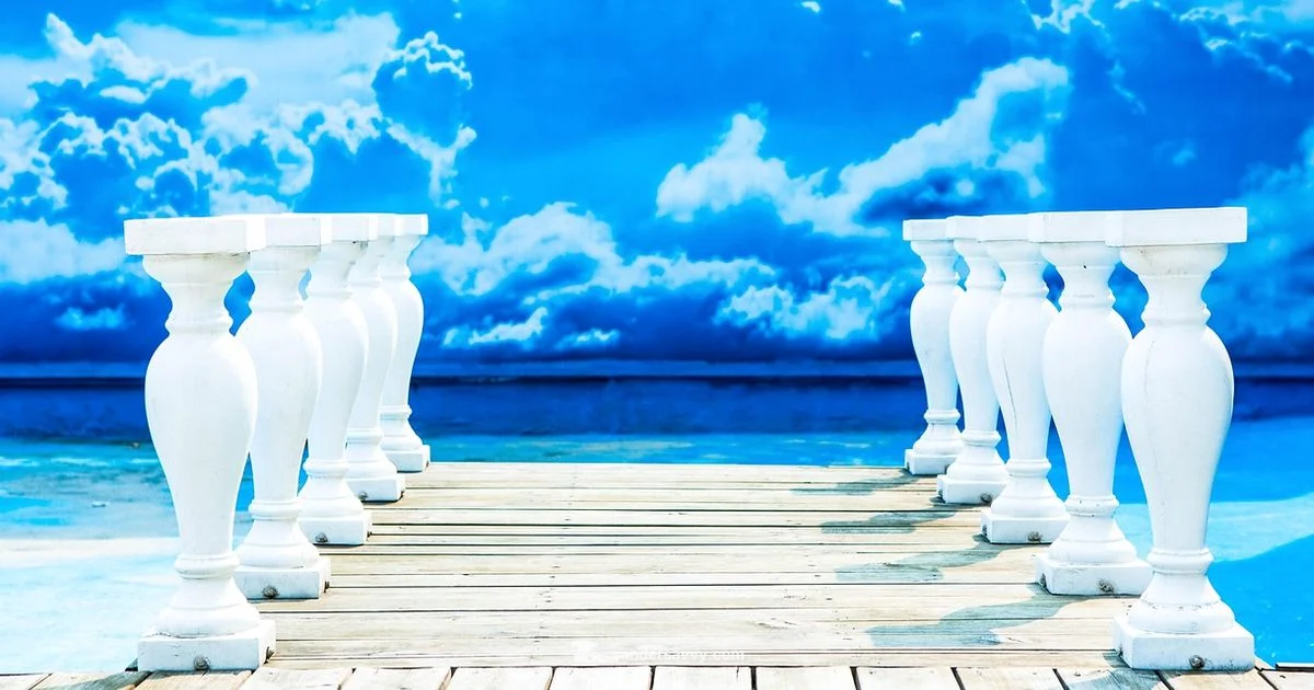 Rent a Sander - SanderSavvy