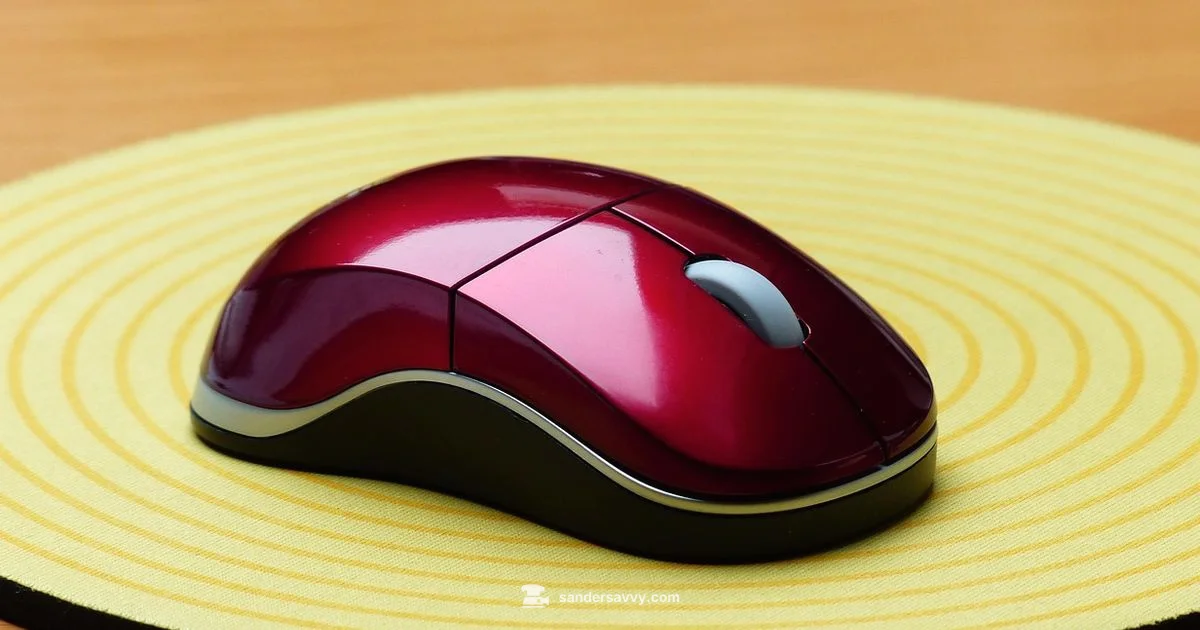 Mouse Sander Setup - SanderSavvy