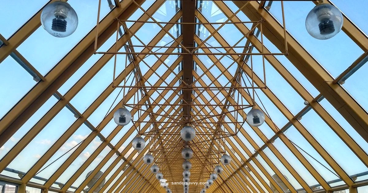 Jil Sander Earring Review - SanderSavvy