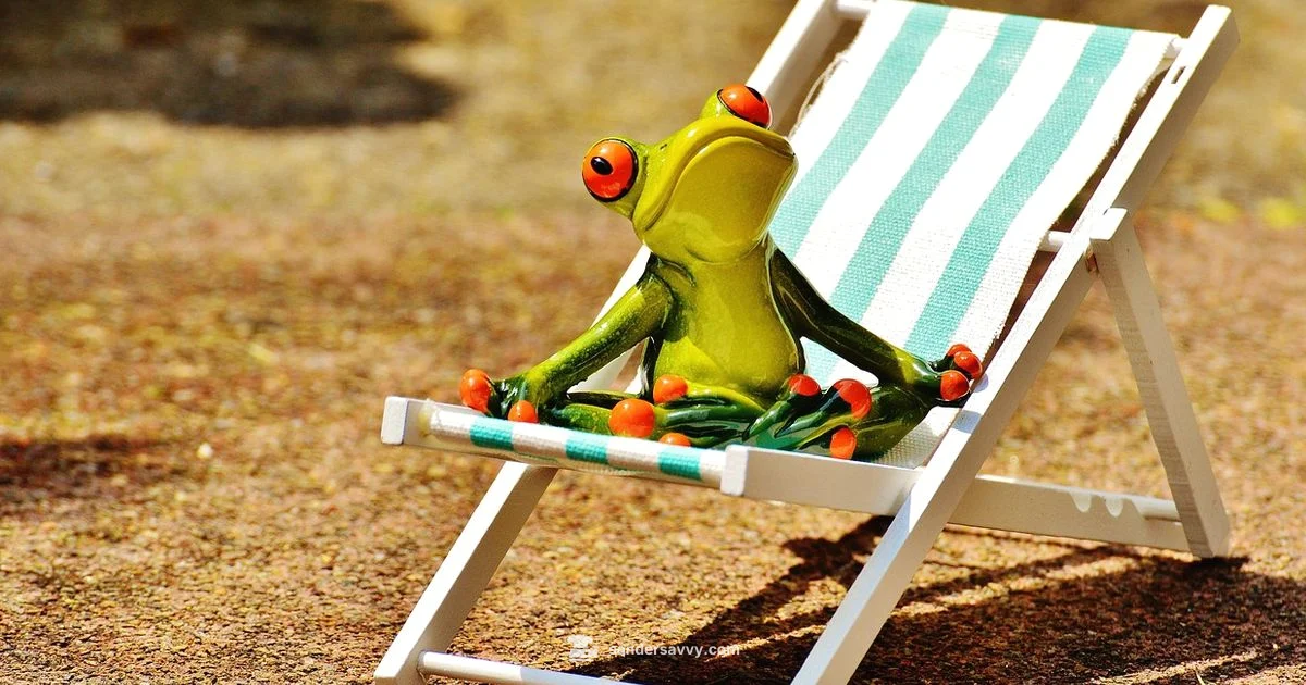 Deck Sander Picks - SanderSavvy