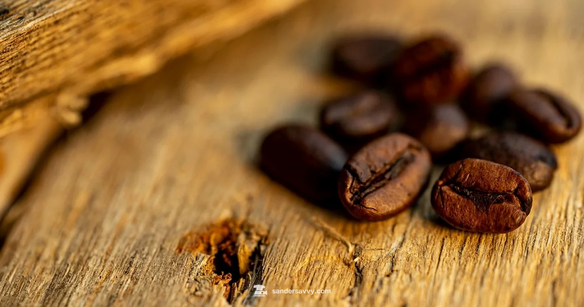 Espresso Grinder Guide - SanderSavvy