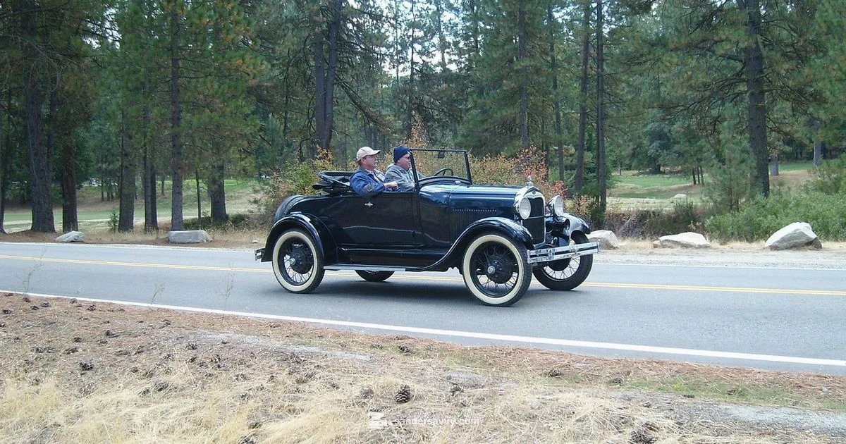 Renting a Sander - SanderSavvy